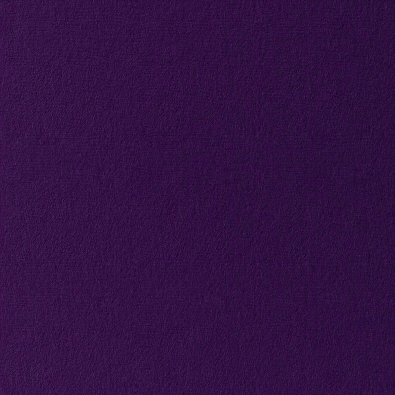 Jersey Violet